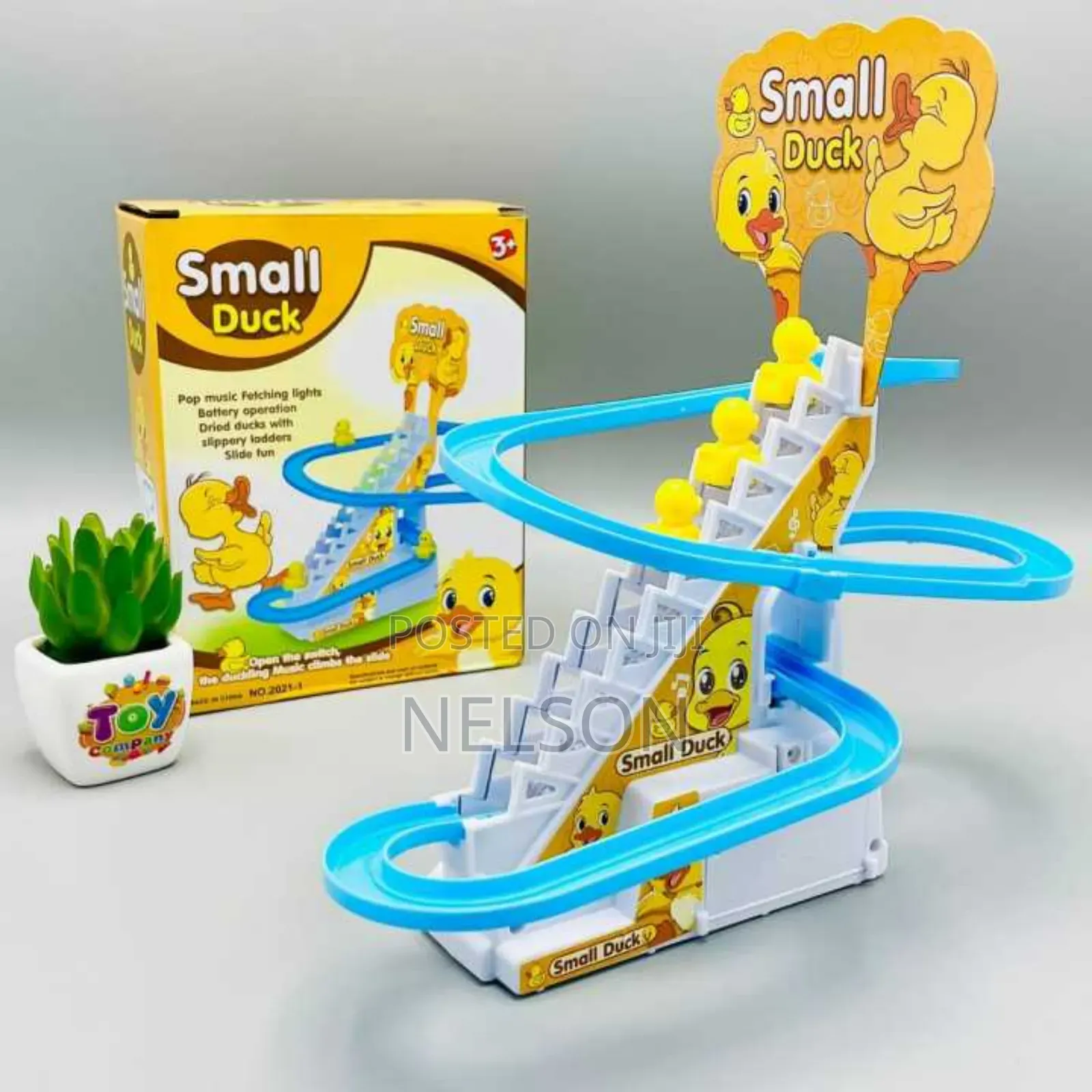 Small Duck Toy