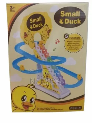 Small Duck Toy
