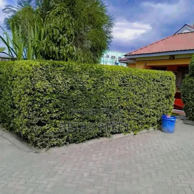 3bdrm Bungalow in Joska, Kangundo for rent