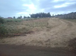 Land and Plots