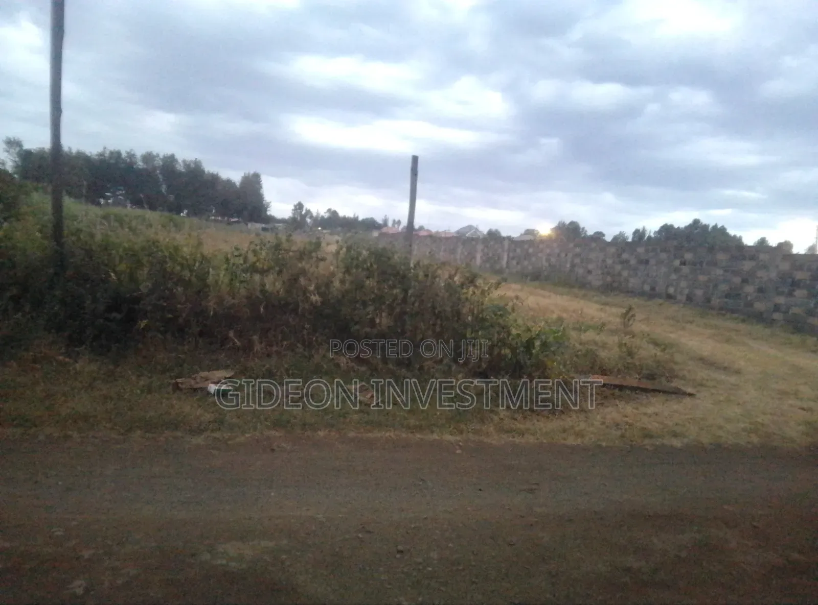 Land and Plots