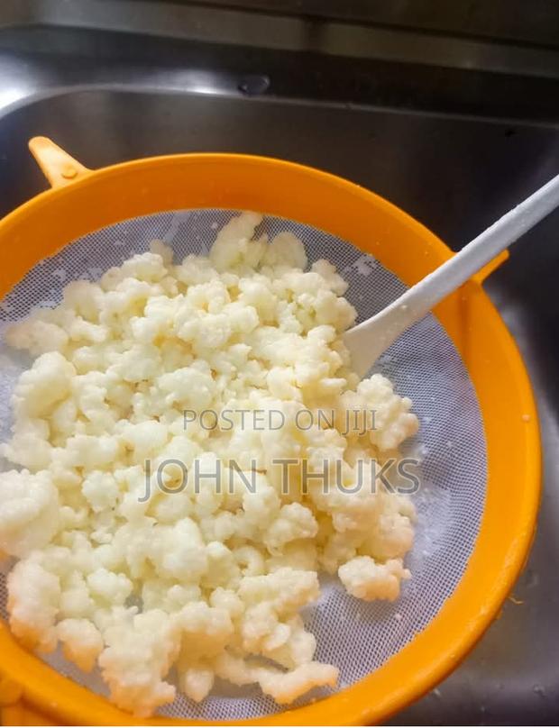 Kefir Milk Grains - main view