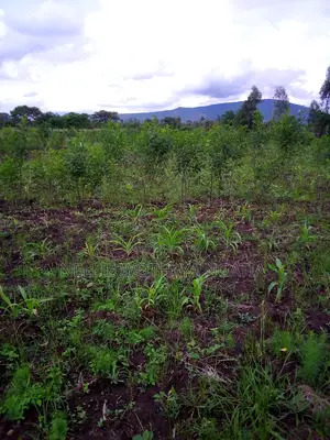 50by100 Plot for Sale