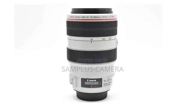 Canon Ef 70-300mm F4-5.6 L Is Usm