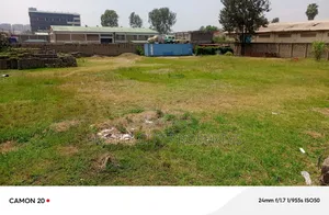 Property for Sale Size Half Acre,