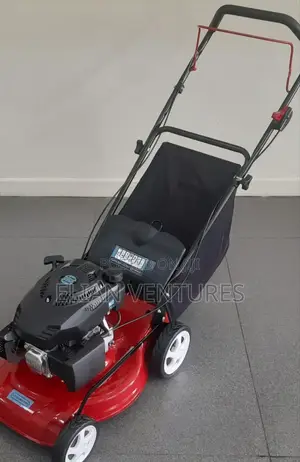 New Arrival Petrol Lawn Mower