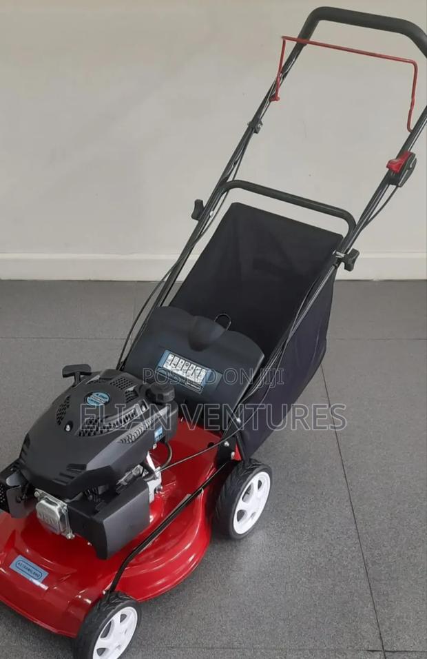 New Arrival Petrol Lawn Mower