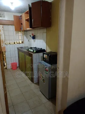 Studios and 1bedroom Airbnbs in Roysambu for Short and Long Stays