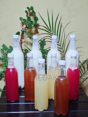 Kefir Milk,Kombucha and Tepache