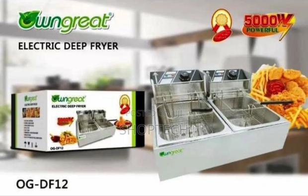 Owngreat 12litre Double Deep Fryer