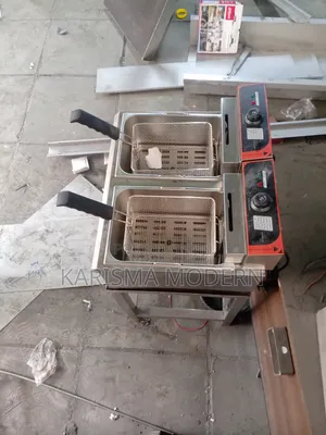 Electric Double Fryer Imported With Locally Made Stand