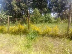 50 By100 Plot Ruaka Kigwaru Drive 3.8m