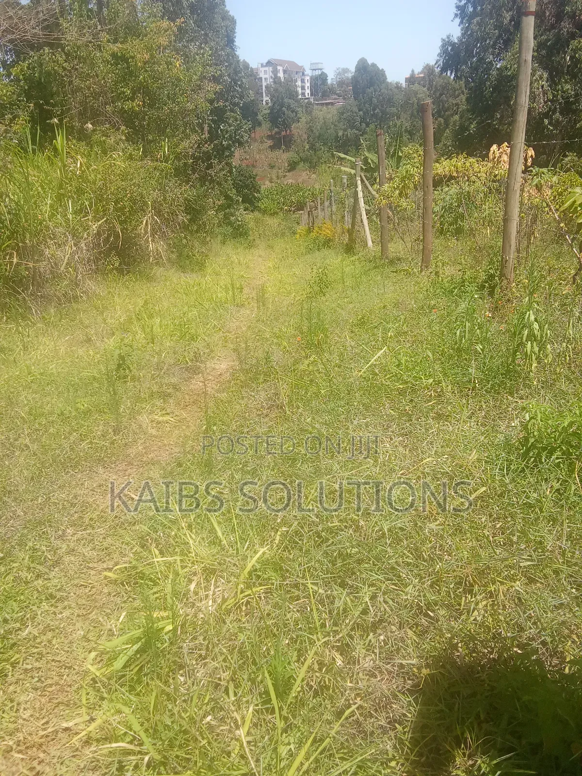 50 By100 Plot Ruaka Kigwaru Drive 3.8m