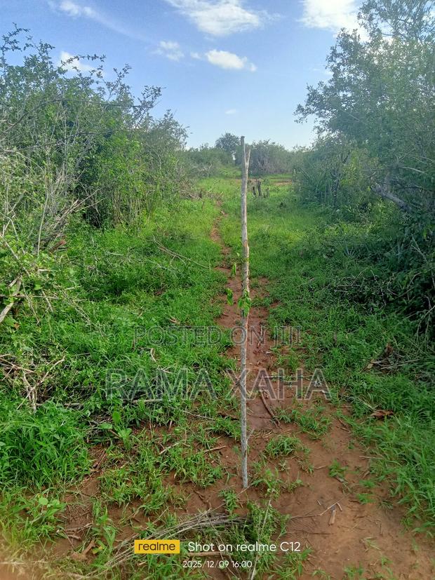 300 Acres For Sale At Sosobora With Ready Title Deed - main view