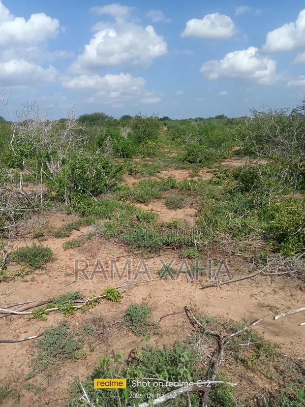 300 Acres For Sale At Sosobora With Ready Title Deed - thumbnail 2