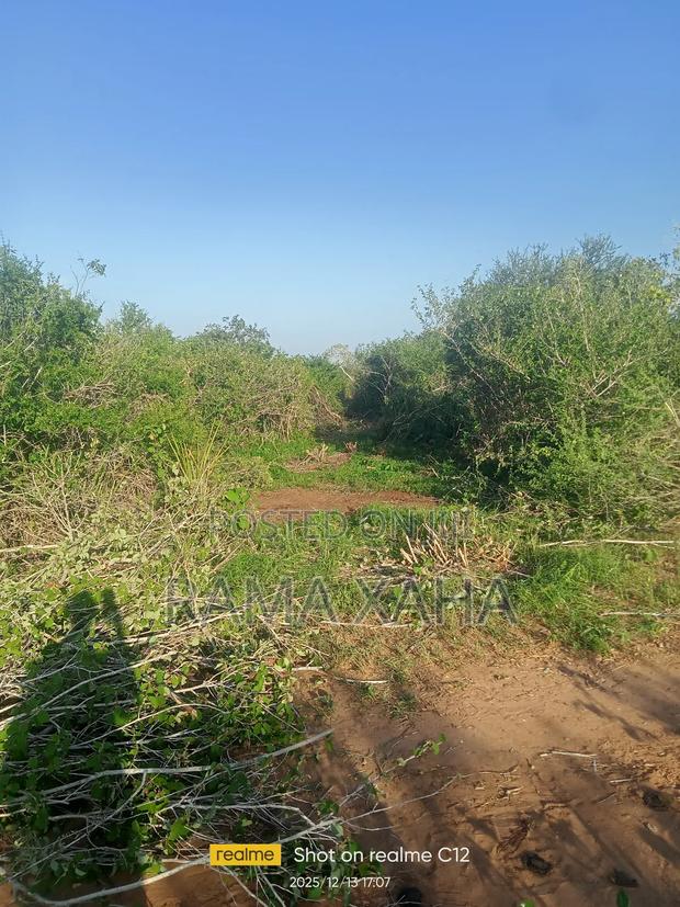 300 Acres For Sale At Sosobora With Ready Title Deed - thumbnail 3