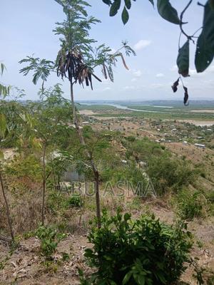 Kisauni Plot for Sale (40fts×90fts) - thumbnail 2