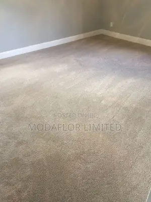 Delta Wall to Wall Carpet – Durable Comfortable Flooring