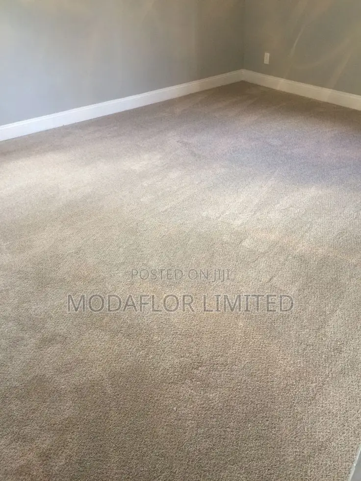Delta Wall to Wall Carpet – Durable Comfortable Flooring