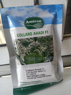 Collards Ahadi F1 100g - main view