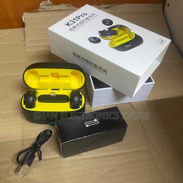 Professional Audio Dual Wireless Microphone Plug-and-Play Design - main view