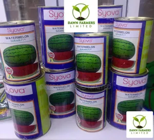 Watermelon Sukari F1 500g
