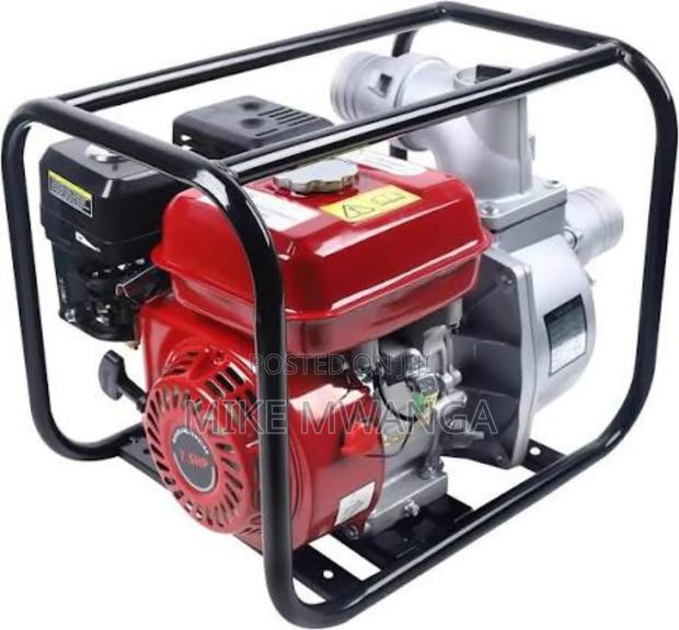 Windsor Gasoline Water Pump - main view