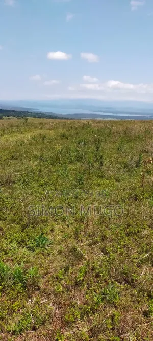 Nyandarua Ngorika Prime Agricultural 500 Acres
