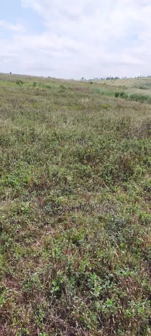 Nyandarua Ngorika Prime Agricultural 500 Acres