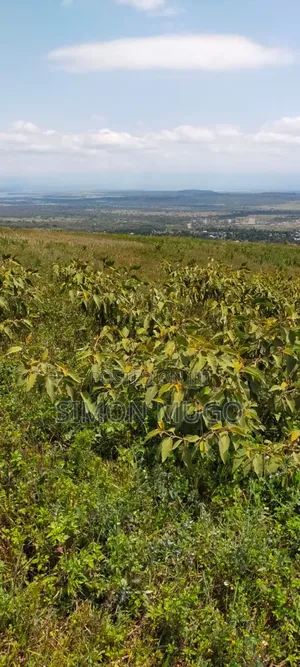 Nyandarua Ngorika Prime Agricultural 500 Acres