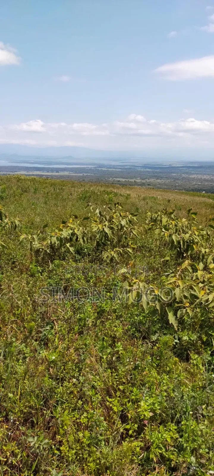Nyandarua Ngorika Prime Agricultural 500 Acres