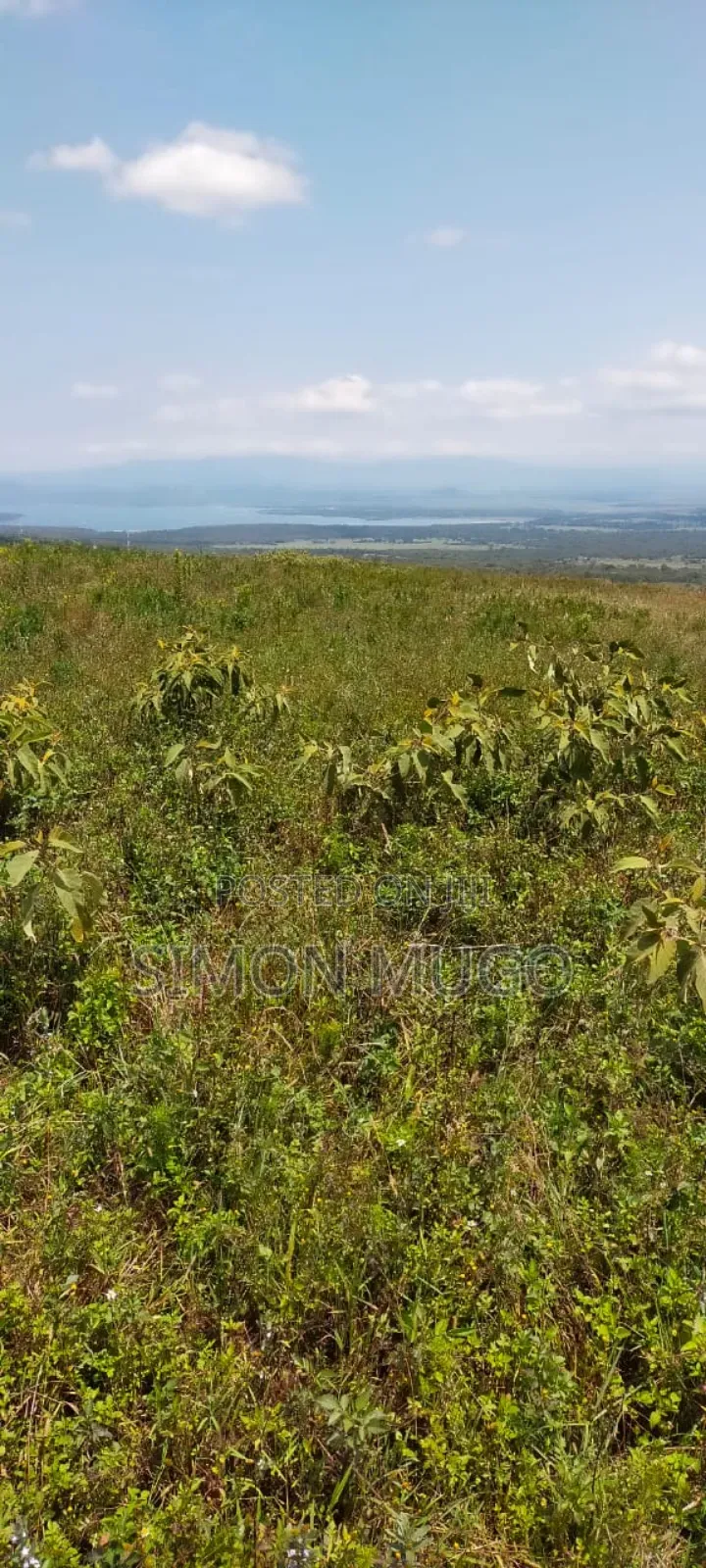 Nyandarua Ngorika Prime Agricultural 500 Acres