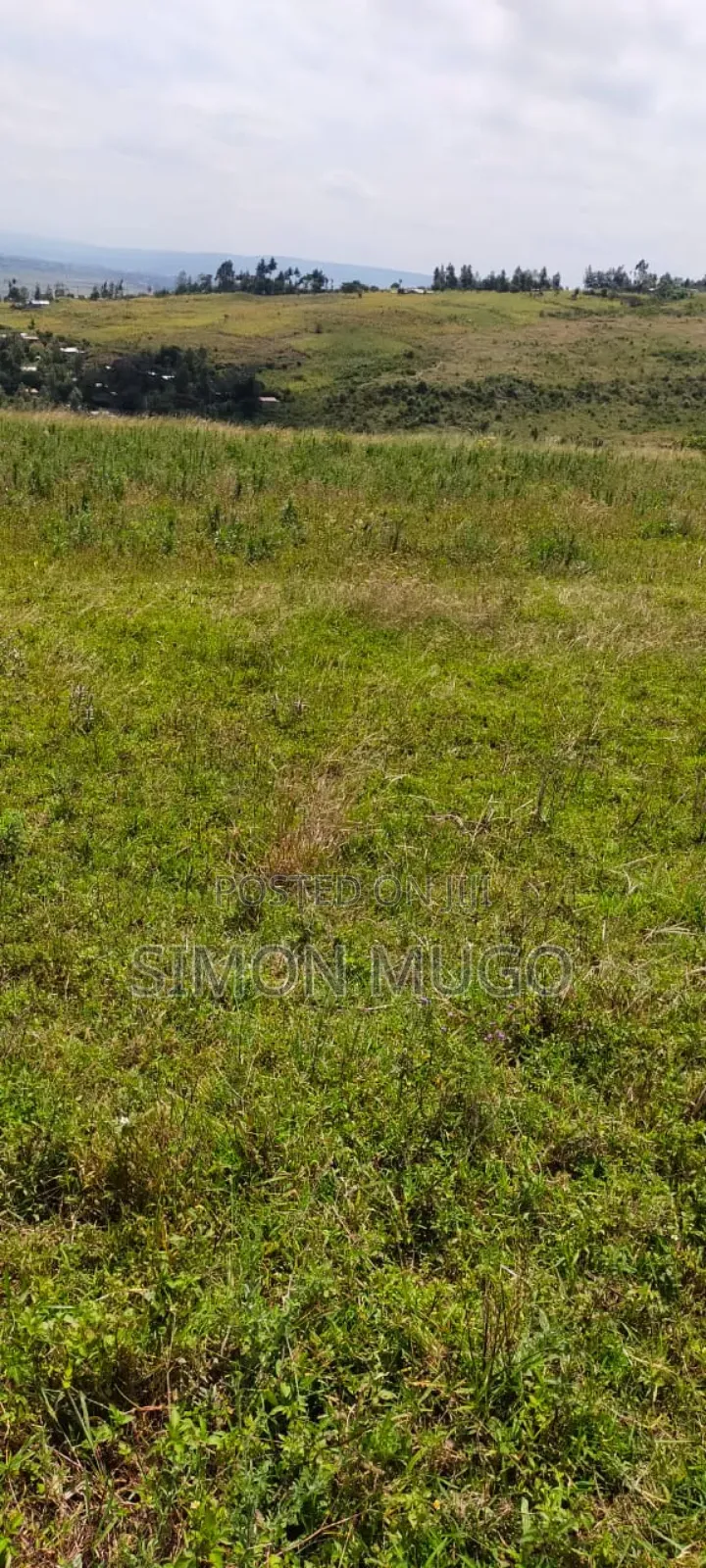 Nyandarua Ngorika Prime Agricultural 500 Acres