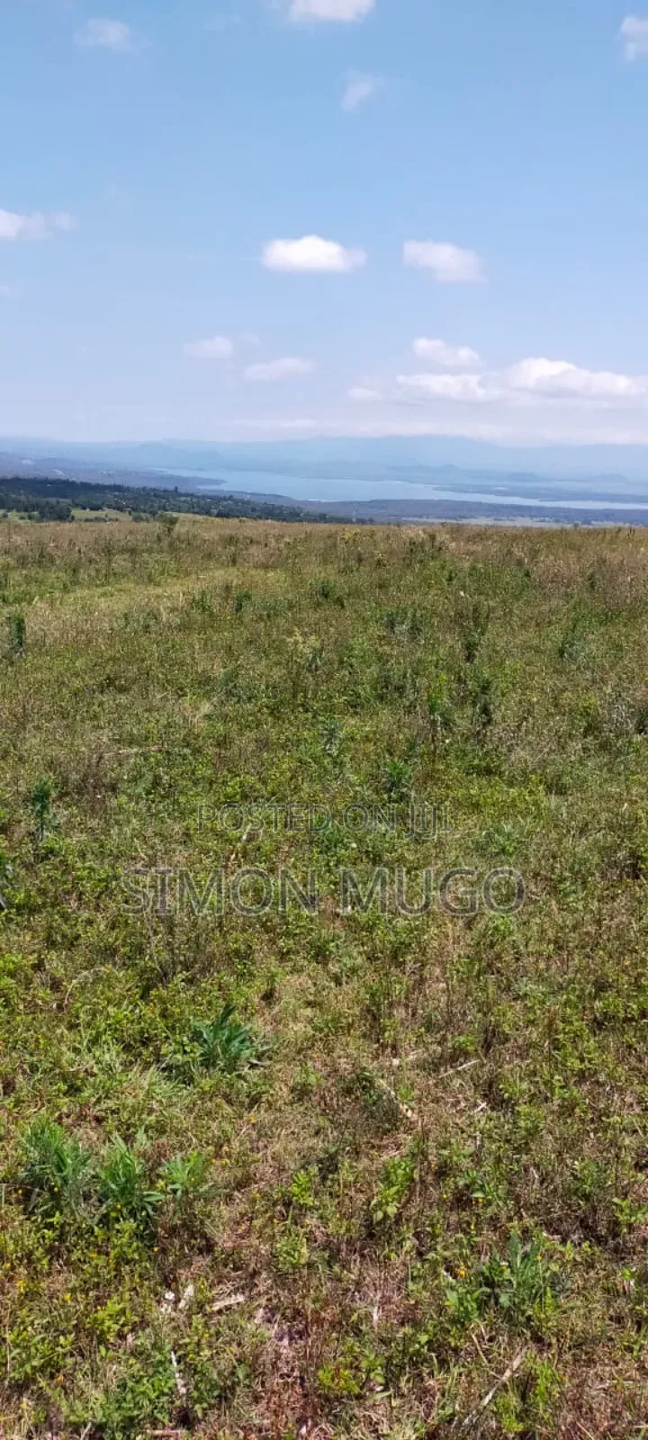 Nyandarua Ngorika Prime Agricultural 500 Acres