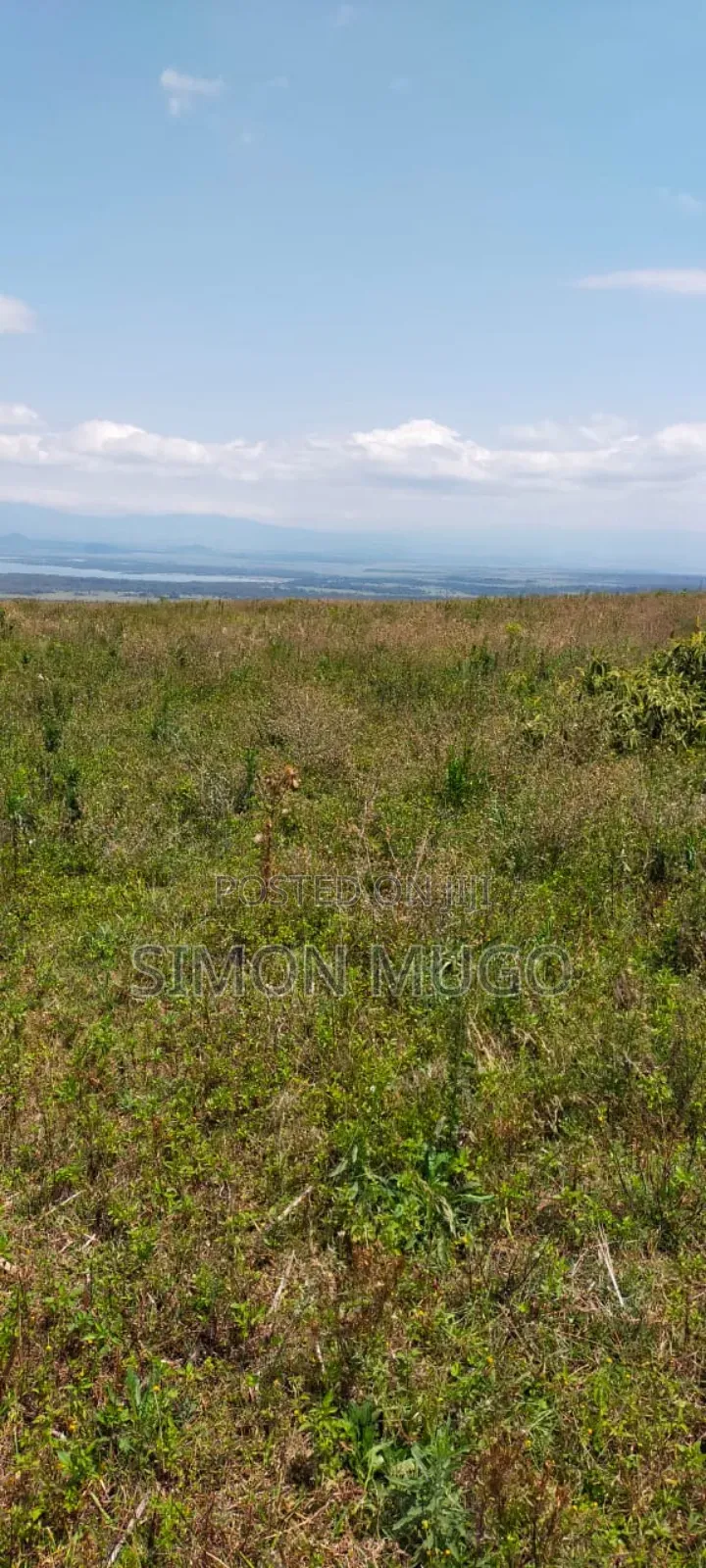 Nyandarua Ngorika Prime Agricultural 500 Acres