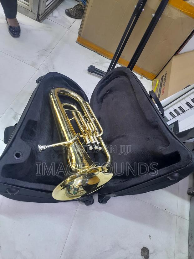 Bb Euphonium Instrument - thumbnail 2