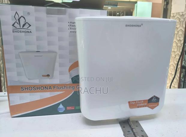 Toilet Cistern Top Flush - main view