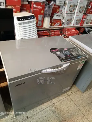 Big Deep Freezer (Used)