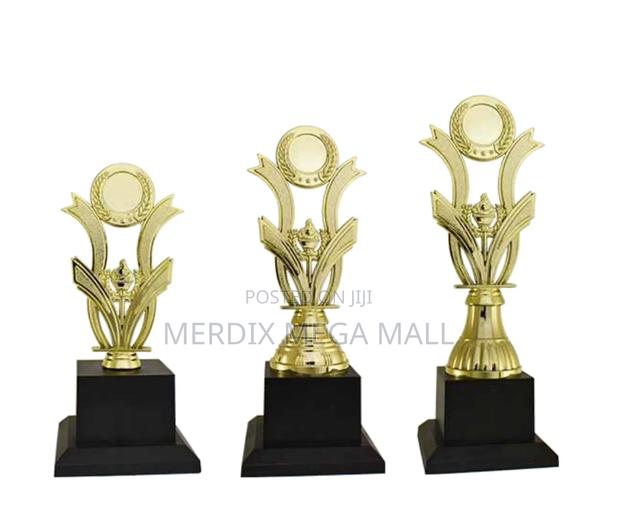 T24-H414aa,Trophy,Trophy Cups,Trophies - main view