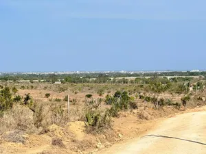 Dongo Kundu Prime Plots for Sale