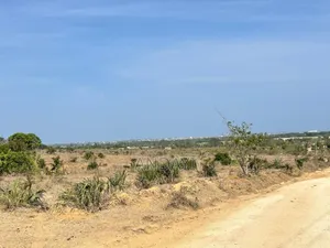 Dongo Kundu Prime Plots for Sale