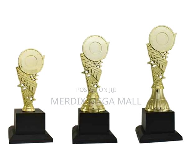 T24-B349ga,Trophy,Trophy Cups,Trophies - main view