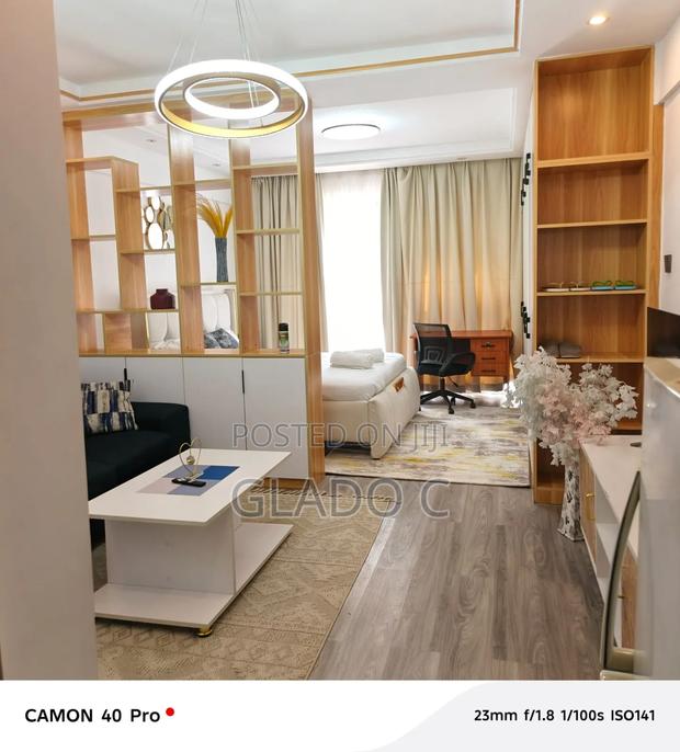 Spacious Studio in Kileleshwa
