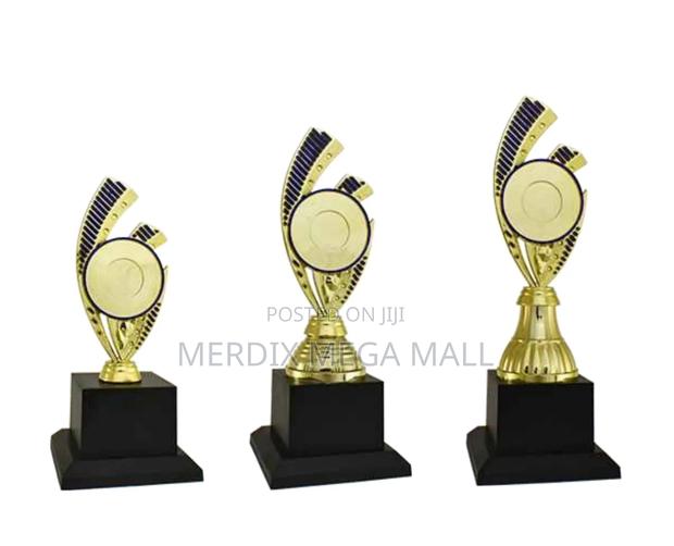 T24-B350gbua,Trophy,Trophy Cups,Trophies - main view