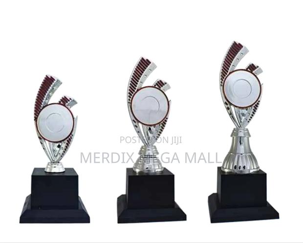 T24-B350srda,Trophy,Trophy Cups,Trophies - main view