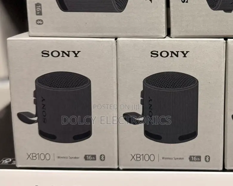 Sony Xb100 Portable Wireless Speaker.
