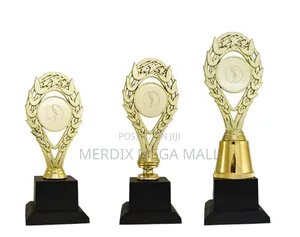 T24-H427a,Trophy,Trophy Cups,Trophies