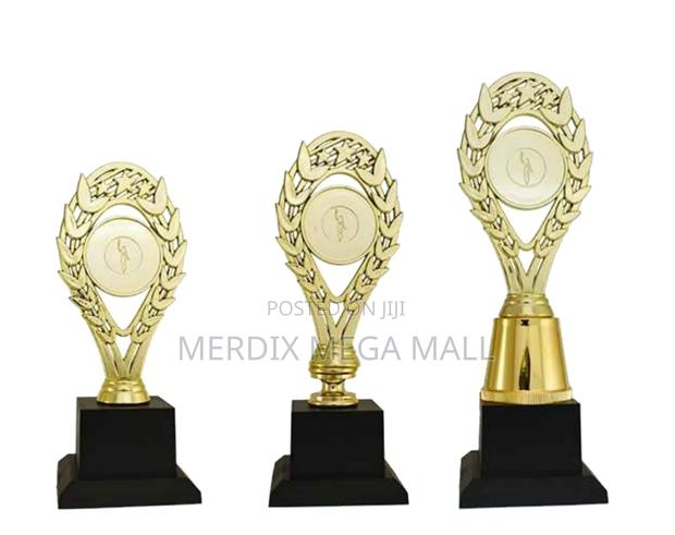 T24-H427a,Trophy,Trophy Cups,Trophies - main view