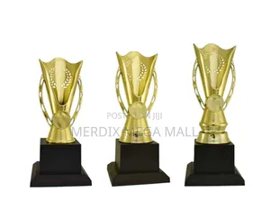 T24-B249ga,Trophy,Trophy Cups,Trophies