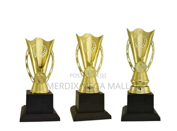 T24-B249ga,Trophy,Trophy Cups,Trophies - main view